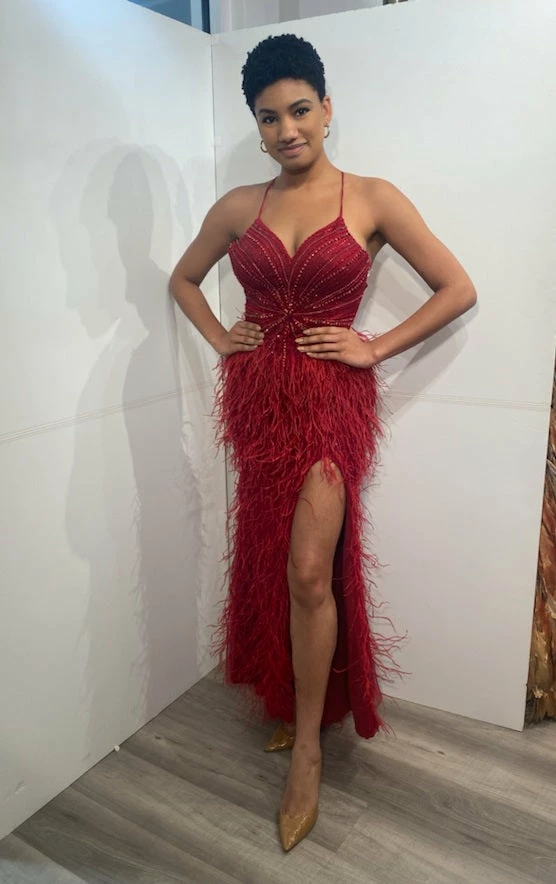 In Stock Jovani 08060 Size 4 Long Feather Backless Corset Prom Dress Formal Gown Slit Skirt V Neck 9 In Stock Jovani 08060 Size 4 Long Feather Backless Corset Prom Dress Formal Gown Slit Skirt V Neck