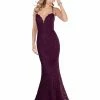 In Stock Blush Prom Dress 11905 Size 0 Aubergine Long Fitted Lace Prom Dress Plunging Neckline Mermaid Train 1 In Stock Blush Prom Dress 11905 Size 0 Aubergine Long Fitted Lace Prom Dress Plunging Neckline Mermaid Train