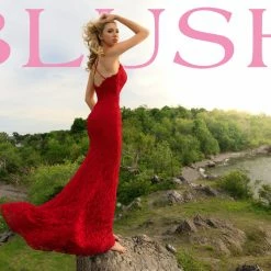 Long Prom Dresses Blush Prom Dress 11905 Long Fitted Lace Prom Dress Plunging Neckline Mermaid Train