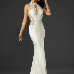 Stella Couture 16084 Long Fitted Sheer Lace Cutout Formal Dress Prom Gown