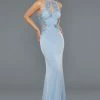 Stella Couture 16084 Long Fitted Sheer Lace Cutout Formal Dress Prom Gown