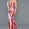 Backless Dresses Stella Couture 22046 Shimmer Long Prom Dress Sheer Lace Wrap Pageant Gown