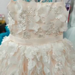 In Stock Rosebuds 5133 Size 6 Long Floral Applique Flower Girl Dress Lace Ballgown Formal