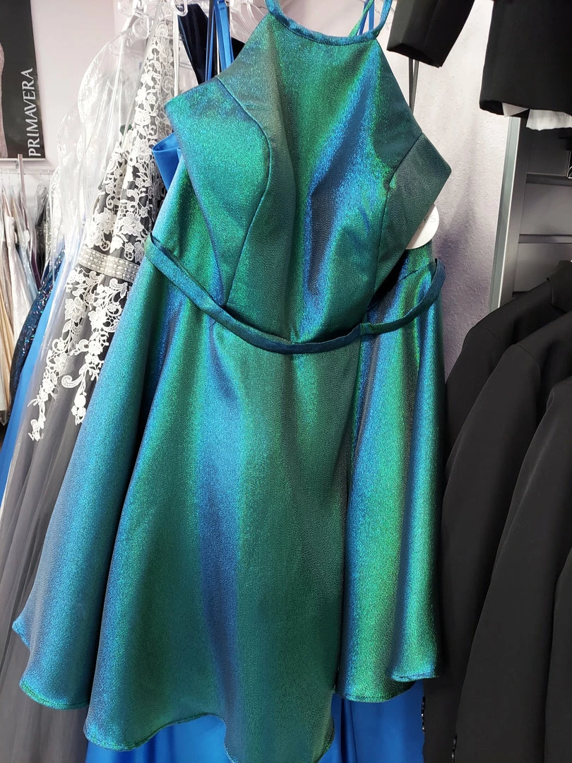 In Stock Sydney's Closet 8103 Short Flare Metallic Prom Dress High Neck Pockets Size 22 Corset Dresses 10 In Stock Sydney's Closet 8103 Short Flare Metallic Prom Dress High Neck Pockets Size 22 Corset Dresses