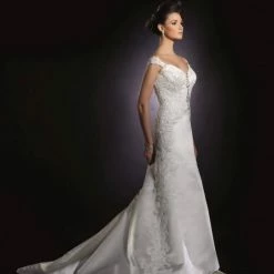 In Stock James Clifford Size 8 Pure Silk Wedding Dress Lace Embellished Fit Flare Sheer Sleeve