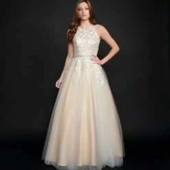 In Stock Nina Canacci 3188 Size 2 Long Lace A Line Ballgown Prom Dress Pageant Gown High Neck Formal