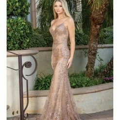 Dancing Queen DQ 4118 Long Sheer Sequin Mermaid Prom Dress Pageant Gown V Neck Crystal Belt