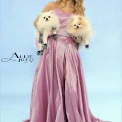 In Stock Allie Blu 6104 Size 0 Maxi Iridescent Taffeta High Slit Prom Dress Scoop Neck Backless Corset Ballgown Dresses