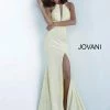 Discontinued Jovani 67563 Fitted Mermaid Glitter Jersey Prom Dress Long Sheer Plunging Long Sleeve Dresses