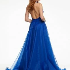 In Stock Ashley Lauren 1740 Size 2, 10 Long Organza Overskirt Wire Hem Pageant Prom Layers