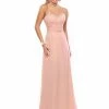 In Stock Adagio Bridesmaids BM145 Size 00,4,8 Long Blush A Line Dress Strapless Gown CLEARANCE
