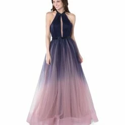 Discontinued Ballgown Dresses Blush Prom Dress 11864 Ombre Tulle Ballgown High Deep V Neck Gown