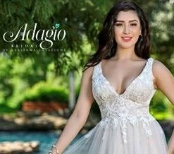 Ballgown Dresses Adagio Bridal D9241 Beaded Applique Tulle Destination Bridal Gown Wedding Dress 9241