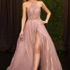 Envious Couture E 1421 Shimmer Prom Dress Lace Sheer Gown Iridescent A Line 1 Envious Couture E 1421 Shimmer Prom Dress Lace Sheer Gown Iridescent A Line