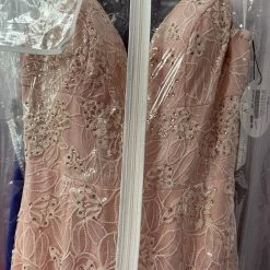 In Stock Ashley Lauren 1743 Size 4 Blush Mermaid Lace Prom Dress Embellished Gown
