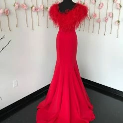 Ashleylauren Ashley Lauren 11101 Prom Dress V Neckline Feather Off The Shoulder Wrap