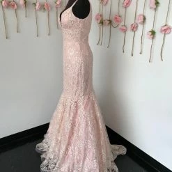 In Stock Ashley Lauren 1743 Size 4 Blush Mermaid Lace Prom Dress Embellished Gown