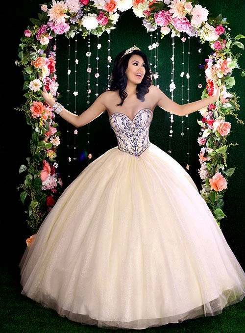 In Stock Camila Q Quinceanera Dress 17019 Size 8 Pink Ballgown Princess Corset Ballgown Dresses 3 In Stock Camila Q Quinceanera Dress 17019 Size 8 Pink Ballgown Princess Corset Ballgown Dresses