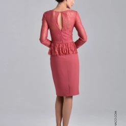 In Stock Nina Canacci M221 Short Lace Long Sleeve Formal Cocktail Dress Sheer Mother Of Long Sleeve Dresses