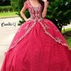 Discontinued Ballgown Dresses Camila Q Quinceanera Dress 1004 Two Piece Corset Ballgown Princess Cap Sleeves