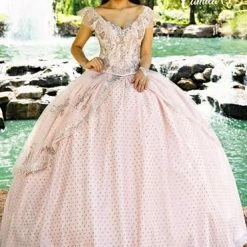 Discontinued Ballgown Dresses Camila Q Quinceanera Dress 1004 Two Piece Corset Ballgown Princess Cap Sleeves