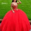 In Stock Ballgown Dresses Camila Q Quinceanera Size 14 Long Tulle Ballgown Formal Dress Party Strapless