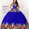 Camila Q Quinceanera Dress 17041 High Neck Floral Ballgown Open Back Princess