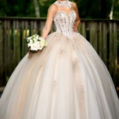 Discontinued Camila Q Quinceanera Dress 17100 Tulle Ballgown Embellished Princess Choker Train Ballgown Dresses 13 Discontinued Camila Q Quinceanera Dress 17100 Tulle Ballgown Embellished Princess Choker Train Ballgown Dresses