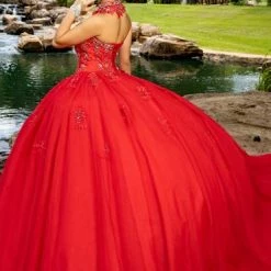 Discontinued Camila Q Quinceanera Dress 17100 Tulle Ballgown Embellished Princess Choker Train Ballgown Dresses 14 Discontinued Camila Q Quinceanera Dress 17100 Tulle Ballgown Embellished Princess Choker Train Ballgown Dresses