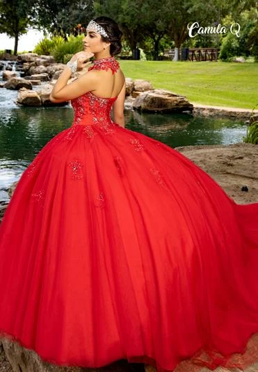 Discontinued Camila Q Quinceanera Dress 17100 Tulle Ballgown Embellished Princess Choker Train Ballgown Dresses 6 Discontinued Camila Q Quinceanera Dress 17100 Tulle Ballgown Embellished Princess Choker Train Ballgown Dresses