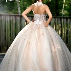 Discontinued Camila Q Quinceanera Dress 17100 Tulle Ballgown Embellished Princess Choker Train Ballgown Dresses 17 Discontinued Camila Q Quinceanera Dress 17100 Tulle Ballgown Embellished Princess Choker Train Ballgown Dresses