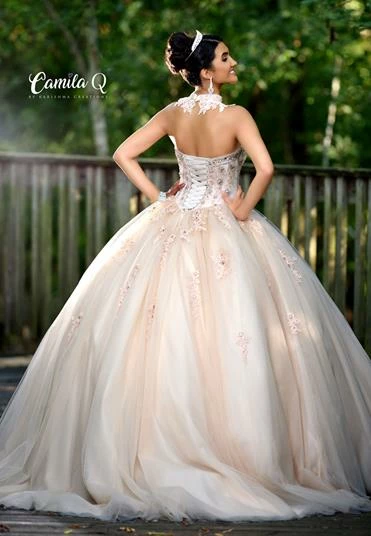 Discontinued Camila Q Quinceanera Dress 17100 Tulle Ballgown Embellished Princess Choker Train Ballgown Dresses 9 Discontinued Camila Q Quinceanera Dress 17100 Tulle Ballgown Embellished Princess Choker Train Ballgown Dresses