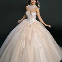 Discontinued Camila Q Quinceanera Dress 17100 Tulle Ballgown Embellished Princess Choker Train Ballgown Dresses