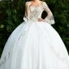 Discontinued Ballgown Dresses Camila Q Quinceanera Dress 18001 Long Bell Sleeve Ballgown Prom Dress