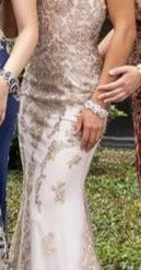 Discontinued Corset Dresses Envious Couture 1615 Embellished Applique Fitted Long Prom Dress Corset Open Back