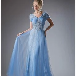 In Stock CD 004 Size 8 Long Lace Tulle Mother Of Dress Formal Gown A Line Wedding Guest Cap Sleeve Backless Dresses