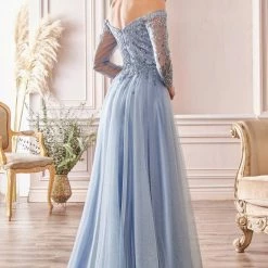 In Stock CD 0172 Size 12 Long Shimmer A Line Mother Of Sheer Long Sleeve Dress Off The Shoulder