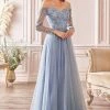 In Stock CD 0172 Size 12 Long Shimmer A Line Mother Of Sheer Long Sleeve Dress Off The Shoulder