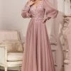In Stock CD 0183 Size 12 Long Chiffon A Line Lace Mother Of Dress Sheer Long Sleeve Formal Gown Long Sleeve Dresses
