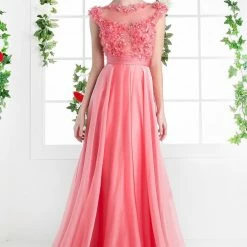In Stock CD 218 Size 4 Long A Line Chiffon Sheer 3d Flower Formal Dress Cap Sleeve Evening Gown Backless Dresses