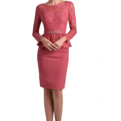 In Stock Nina Canacci M221 Short Lace Long Sleeve Formal Cocktail Dress Sheer Mother Of Long Sleeve Dresses