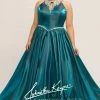 Johnathan Kayne For Sydneys Closet JK 2009 Iridescent Prom Dress Pageant Gown Ballgown Dresses